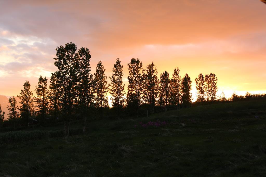 Akureyri Log Cottage Kültér fotó